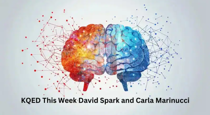 kqed this week david spark carla marinucci