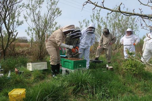 Professional Bee Suit: Essential Gear for Every Beekeeper