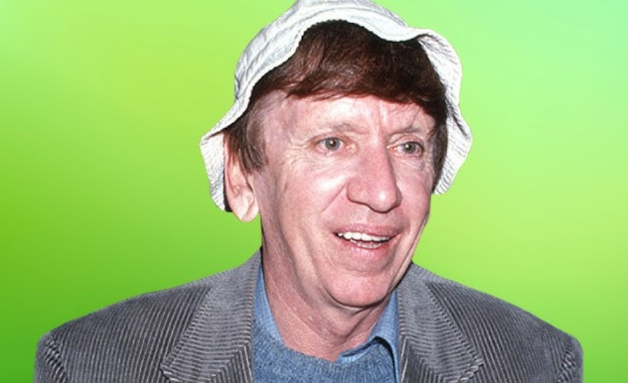 Bob Denver Career