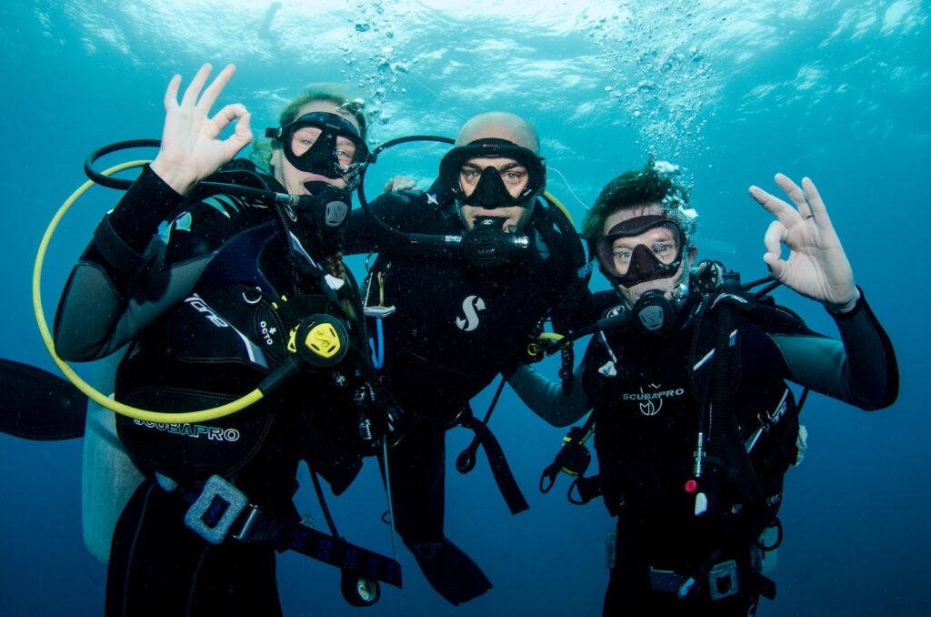 Diving Trip in the Maldives