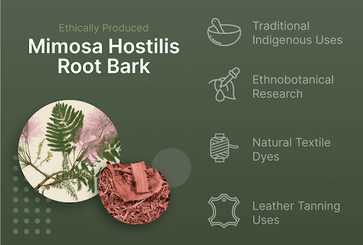 Mimosa Hostilis